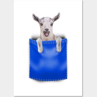 Pocket Goat (Blue) Posters and Art